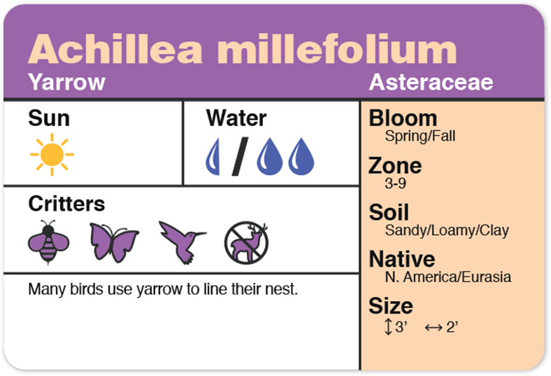 Plant Id Cards The easiest way to learn plants